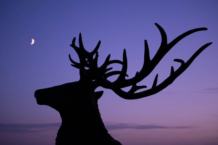 nocni-krajiny-23-of-23-