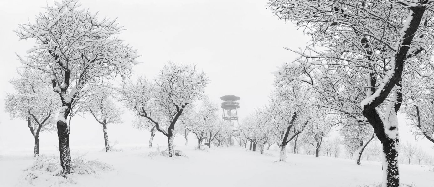 zmrzle-mandlone-1-of-1-