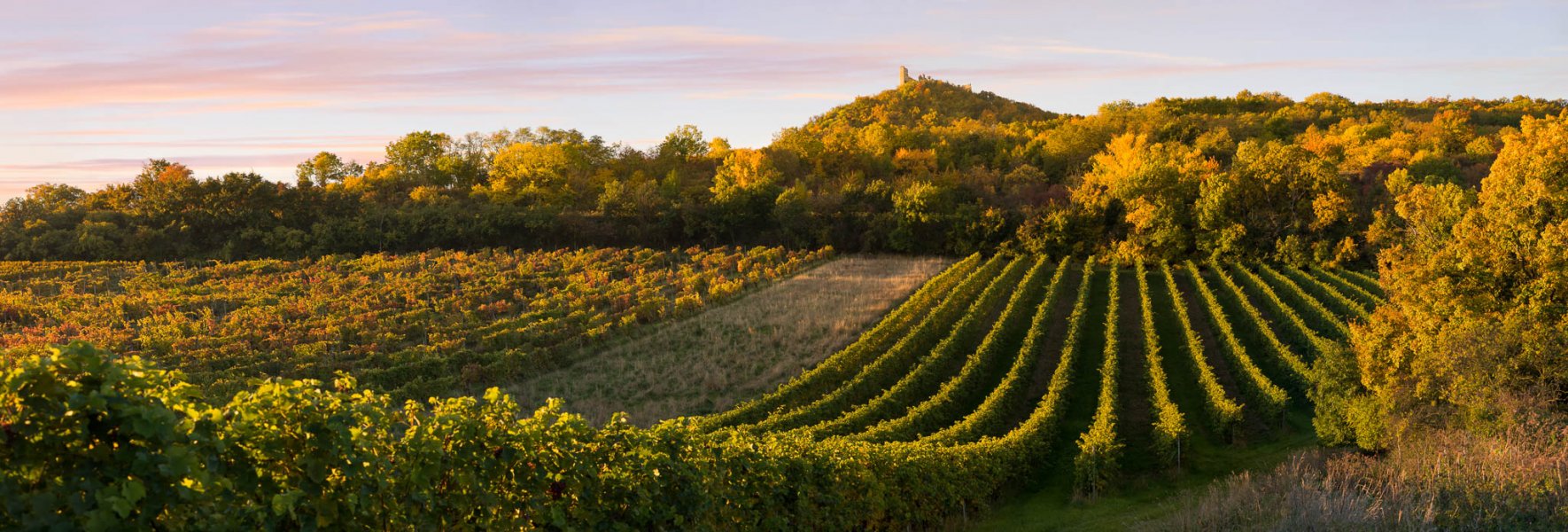 panorama-jizni-morava-1-of-3-